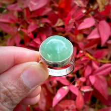 Load image into Gallery viewer, October 2025 Collection by Autopilot Empires