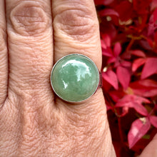 Load image into Gallery viewer, October 2025 Collection by Autopilot Empires