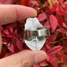 Load image into Gallery viewer, October 2025 Collection by Autopilot Empires