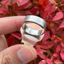 Load image into Gallery viewer, October 2025 Collection by Autopilot Empires