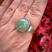 Load image into Gallery viewer, October 2025 Collection by Autopilot Empires
